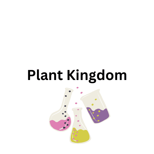 Plant Kingdom